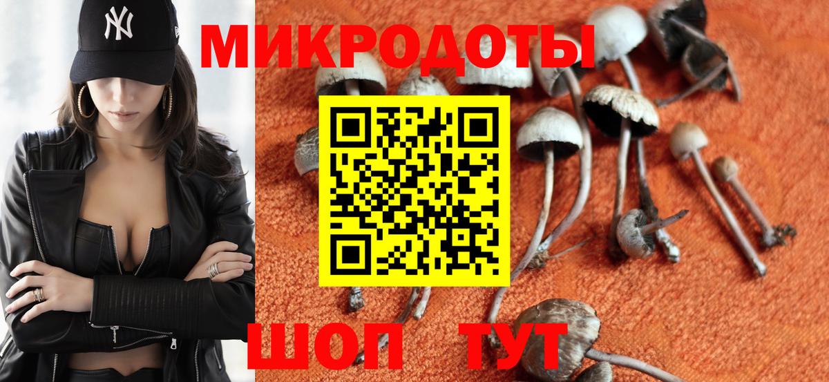 купить наркоту  Галлюциногенные грибы ЛСД  Вход с VPN  Тулун  Галлюциногенные грибы MAGIC MUSHROOMS 